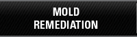 MOLD REMEDIATION